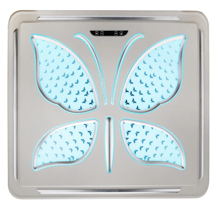 car interior luxury roof lights