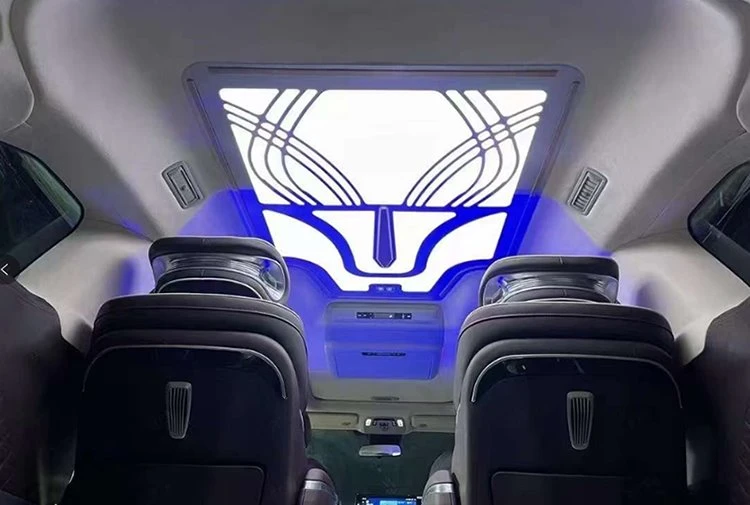 sprinter van led dome lights