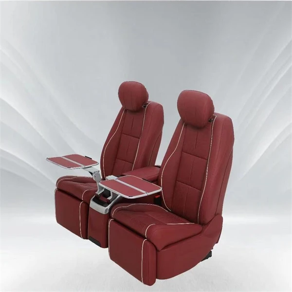 CUSTOM LUXURY VAN