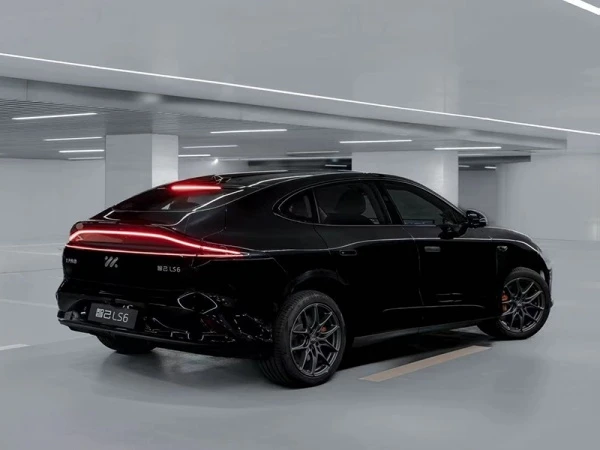 ls6
