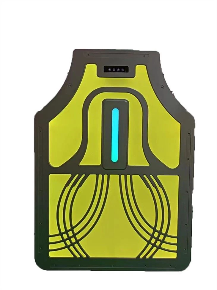 car ceiling light