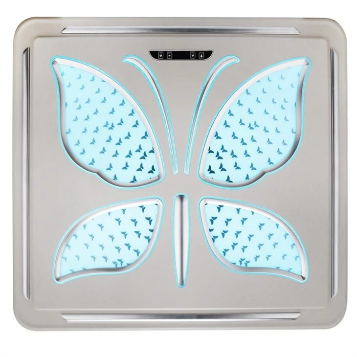 car interior luxury roof lights