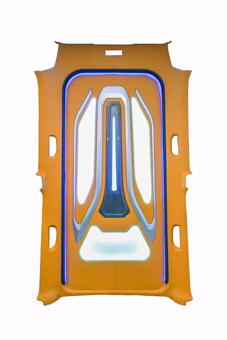 Van high-end interior luxury lighting roof