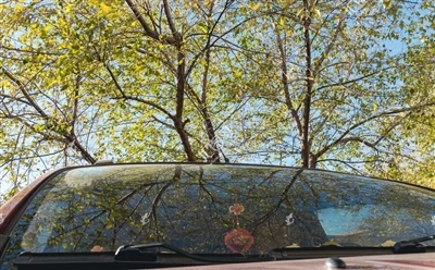 Why is the front windshield of a car tilted?
