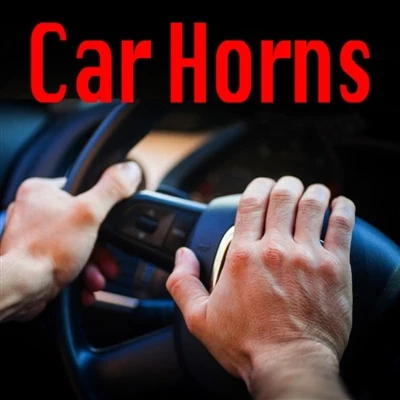 Where is the horn on the car?